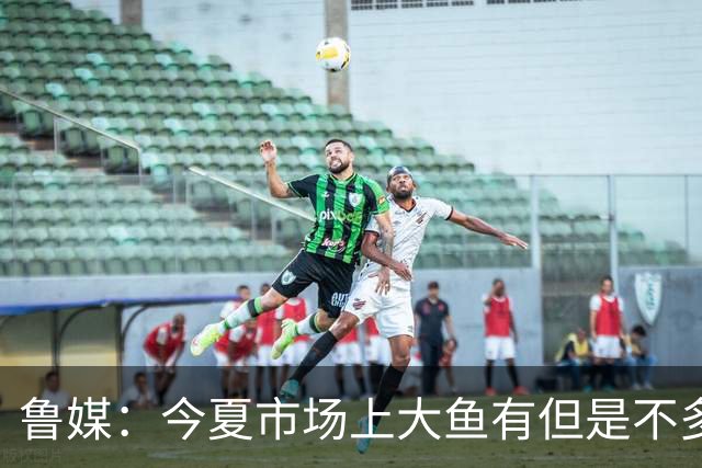 鲁媒：今夏市场上大鱼有但是不多 听说有南方球队会放出几个队员