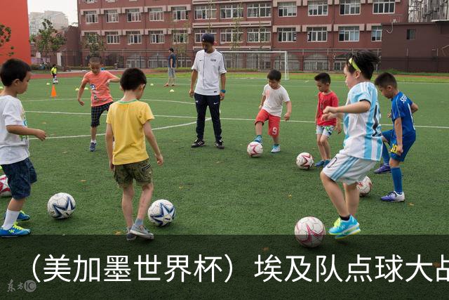 （美加墨世界杯）埃及队点球大战胜澳大利亚队 亚足联队伍全部出局
