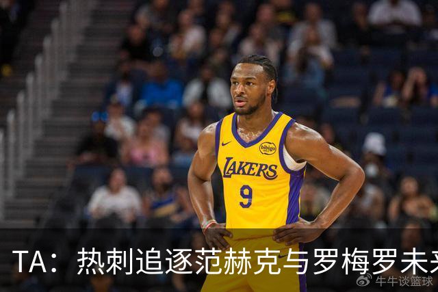 TA：热刺追逐范赫克与罗梅罗未来有关，球队商谈签下帕利尼亚